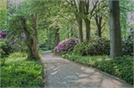 Rhododendronpark 